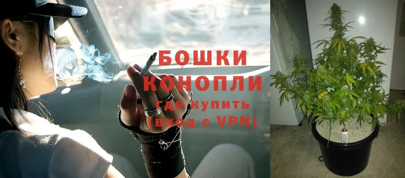 Канабис White Widow  Луга 